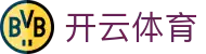 开云中国官方网站 - 开云集团 - KAIYUN GROUP